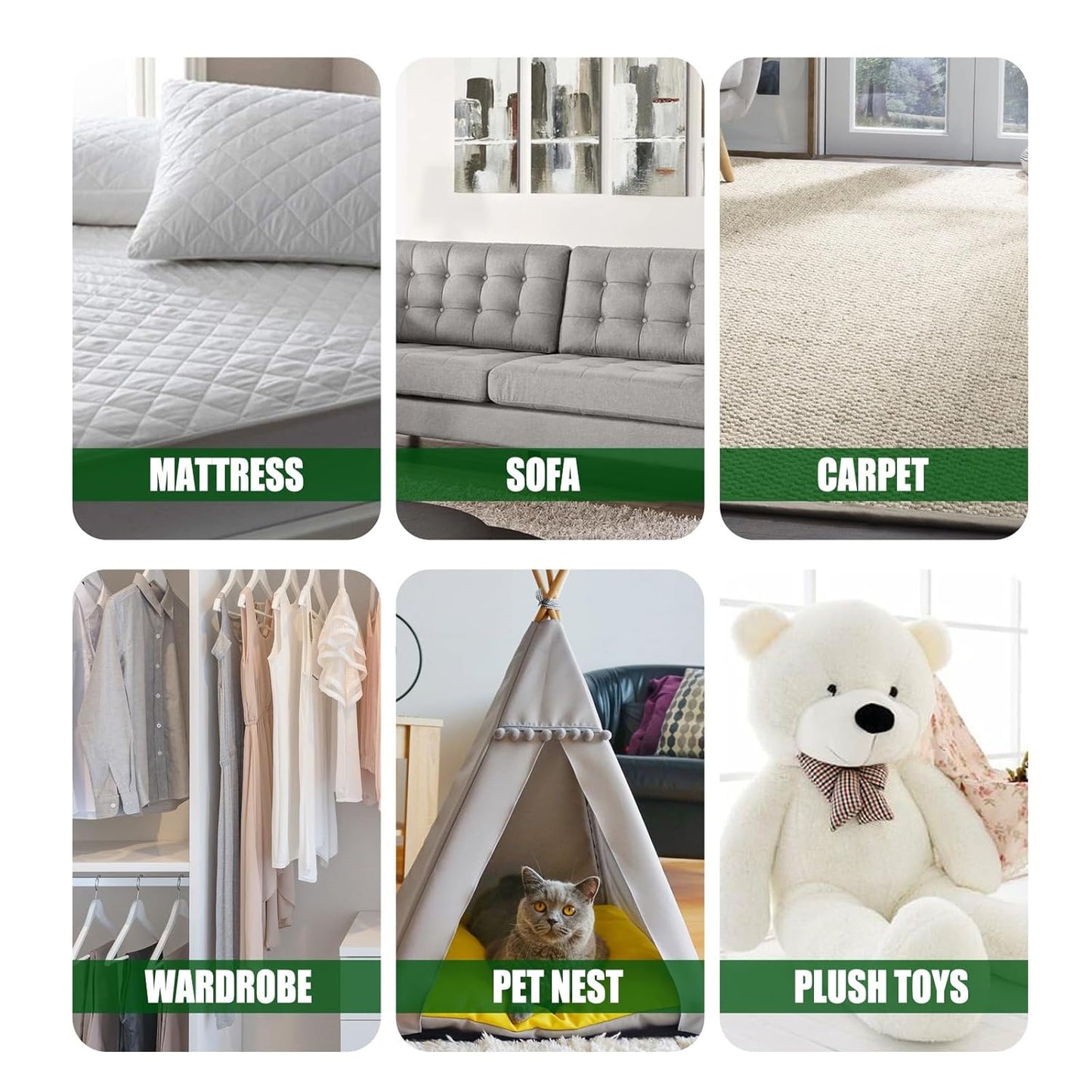 South moon - Green Pickly Ash Mint Removal